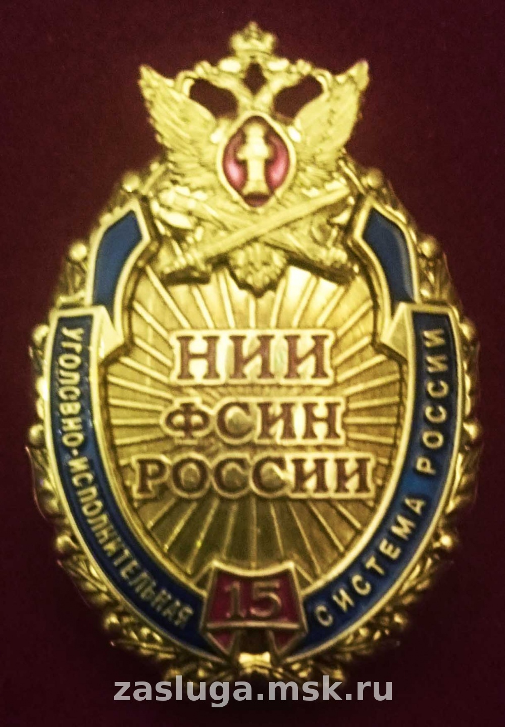 Значок Академия ФСИН России